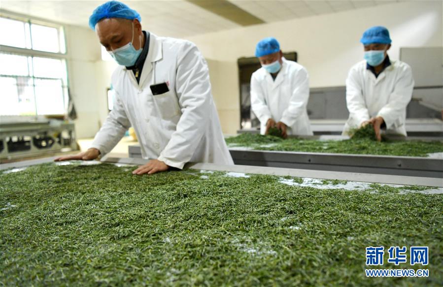 （新华全媒头条·图文互动）（22）从人民中汲取磅礴力量——习近平总书记同出席2020年全国两会人大代表、政协委员共商国是纪实